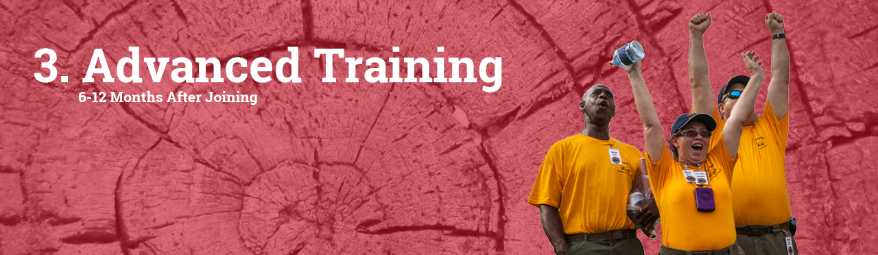 Advanced Training to be completed 6-12 months after joining