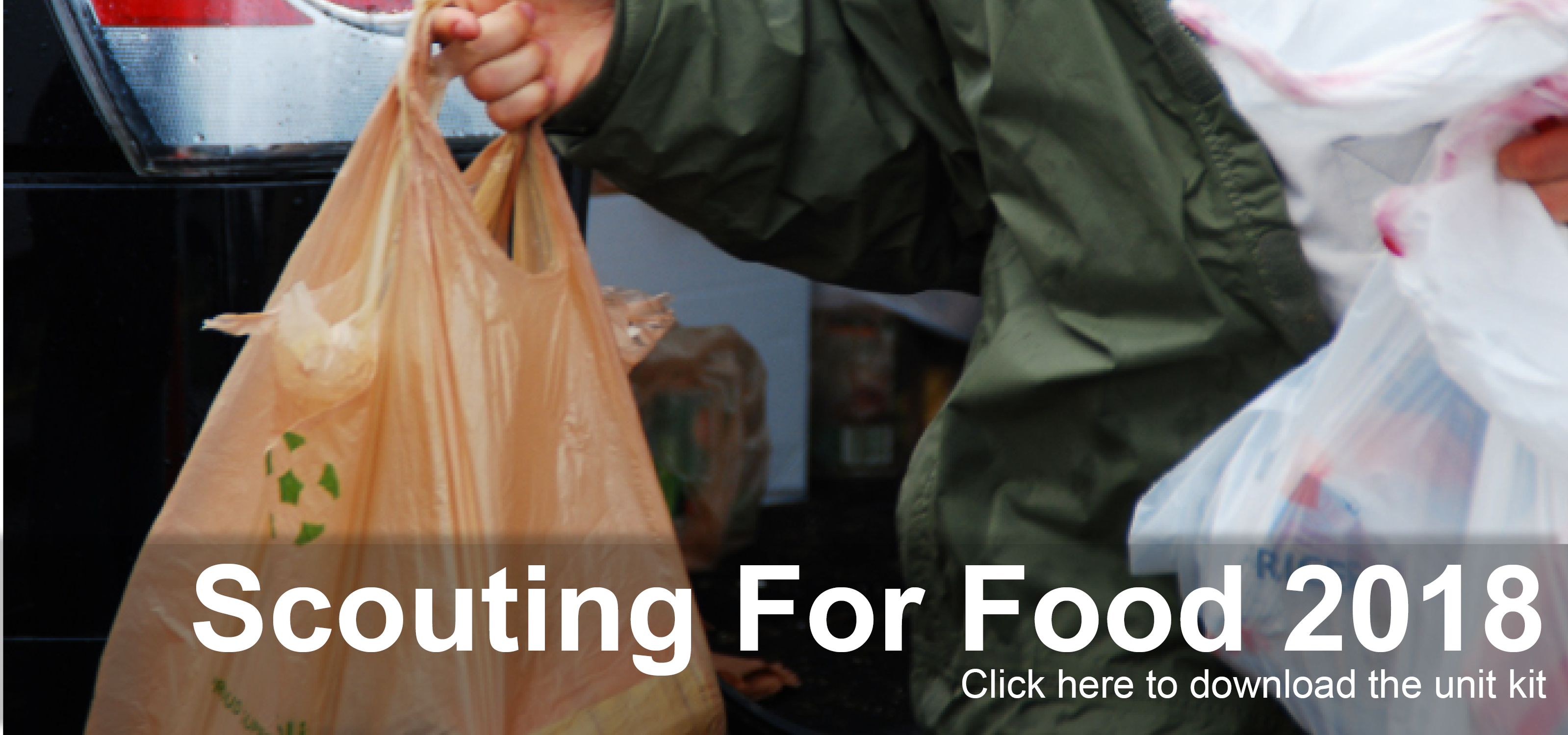 Click to download the Scouting for Food File Kit