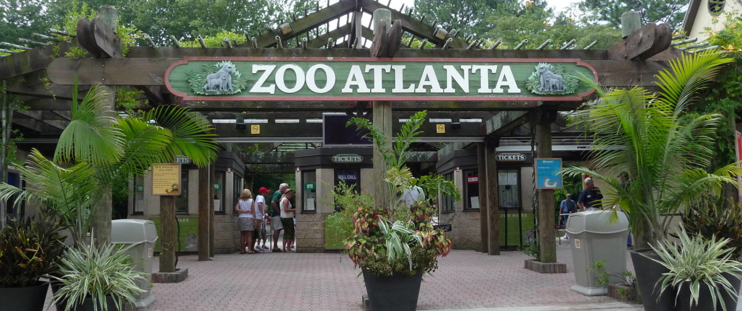 zoo atlanta anniversary tickets