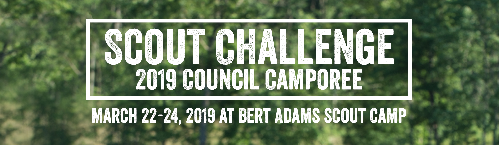 Scout Challenge 2019