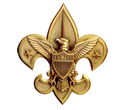BSA
