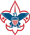 BSA Logo