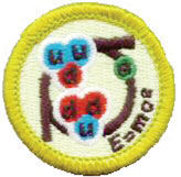 Nuclear Science Merit Badge