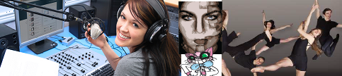 art media career experience technology