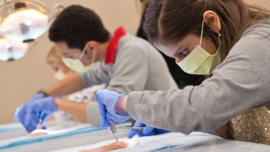 dentist youth job oral college career