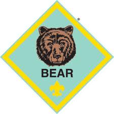 bear