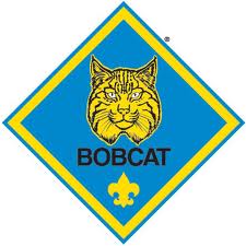Bobcat