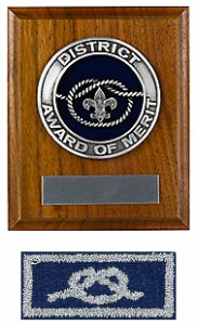 Image result for district award of merit
