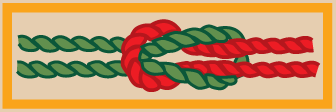 bsa adult recognition knots