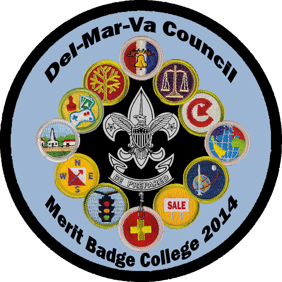 area-1-merit-badge-college-2014