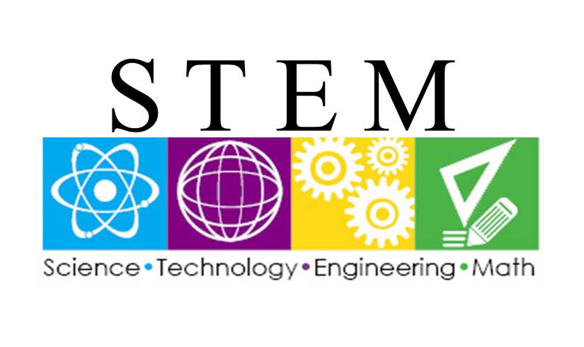 what is stem field